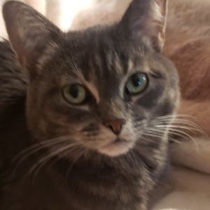 Meet your Posher, Rae